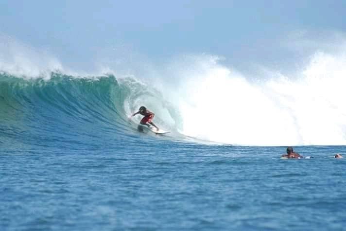Surfer